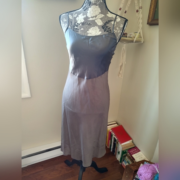 Silver Dress - Picture 3 of 5